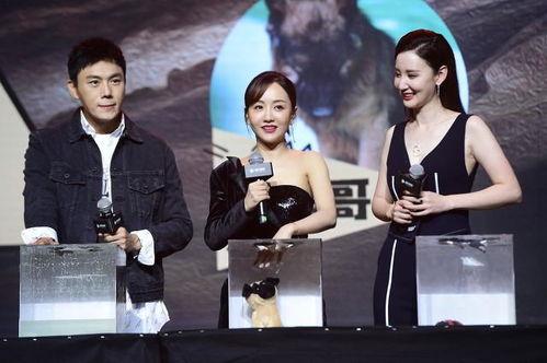 吃瓜娱乐圈新娱文化